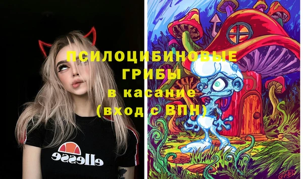 кокс Карпинск