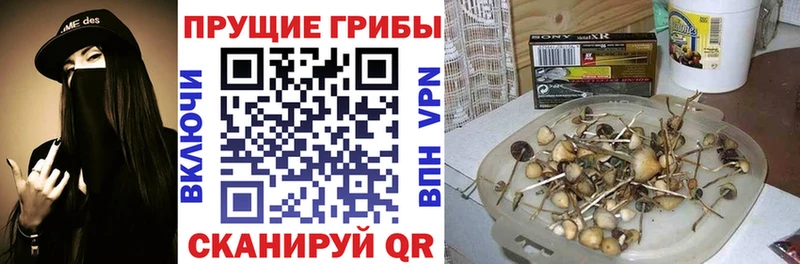 Галлюциногенные грибы Magic Shrooms  OMG маркетплейс  Артём  где можно купить  